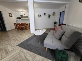 Casa 115 Toplița
